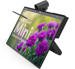 SMART Board Mini